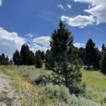 Bozeman MT 59715 - 2