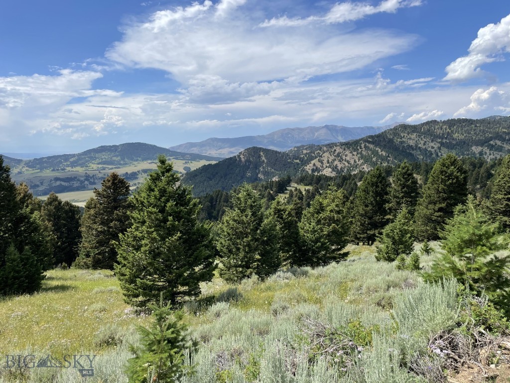 Bozeman MT 59715 - 3