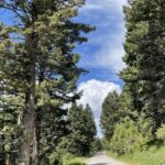 Bozeman MT 59715 - 1