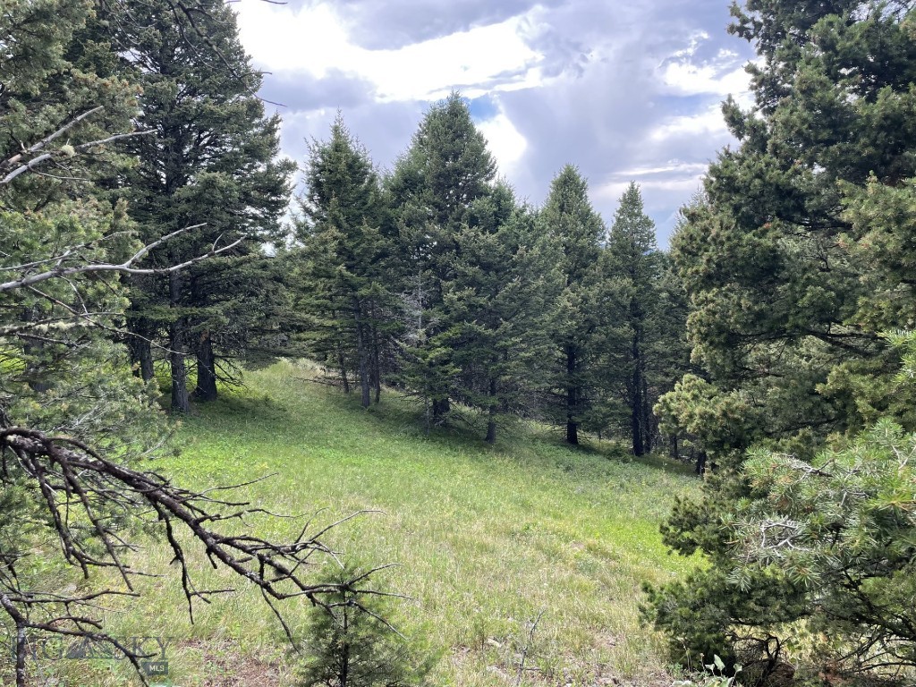 Bozeman MT 59715 - 7