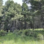 Bozeman MT 59715 - 8
