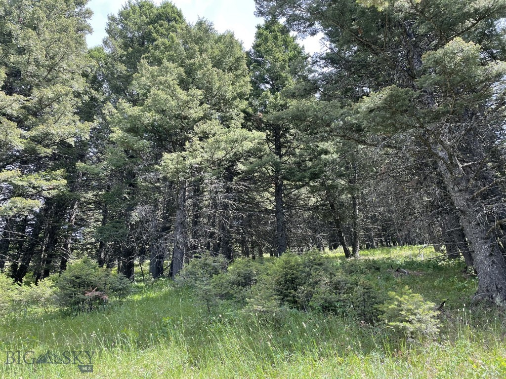 Bozeman MT 59715 - 8