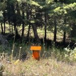 Bozeman MT 59715 - 10