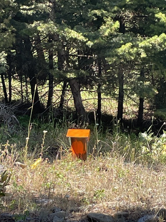 Bozeman MT 59715 - 10