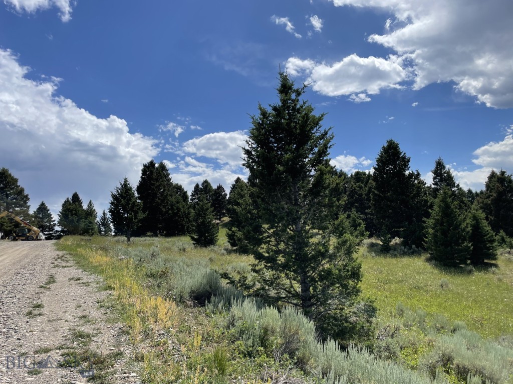 Bozeman MT 59715 - 2