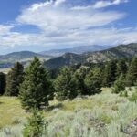 Bozeman MT 59715 - 3