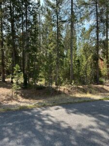 215 Wedeln Drive, Bozeman MT 59715