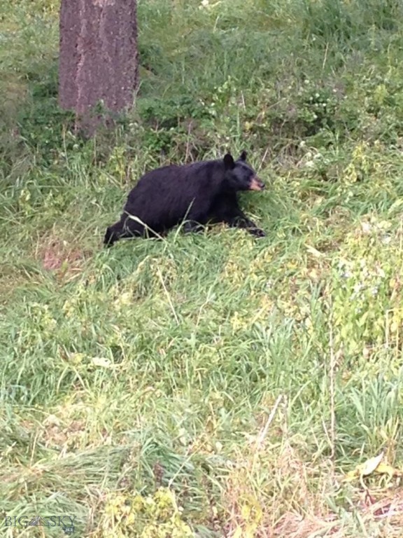 189 Quinn Creek Road