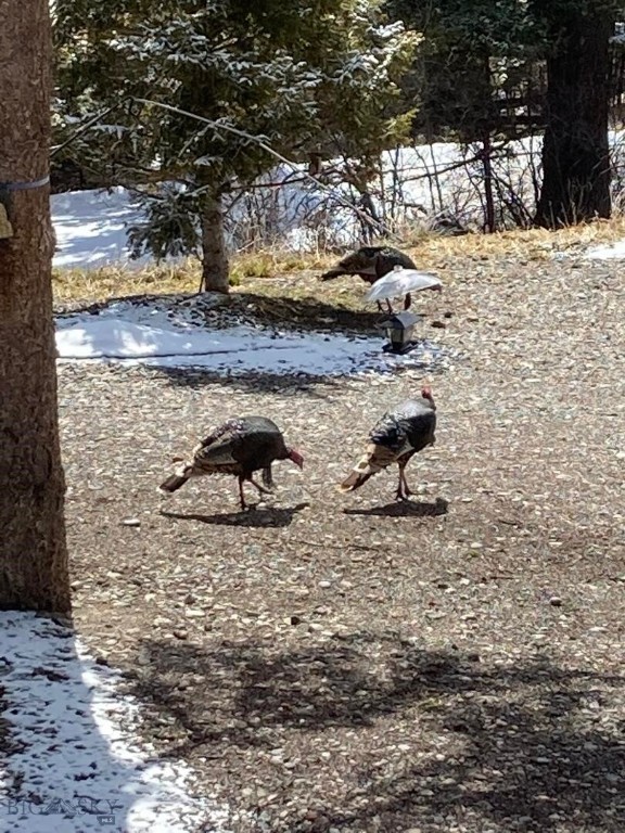 189 Quinn Creek Road