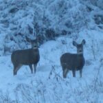 189 Quinn Creek Road