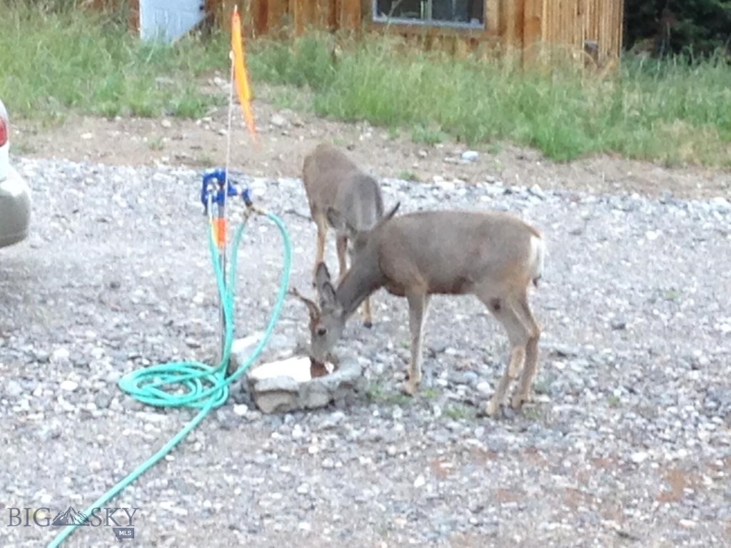 Bozeman MT 59715 - 24