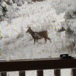 189 Quinn Creek Road