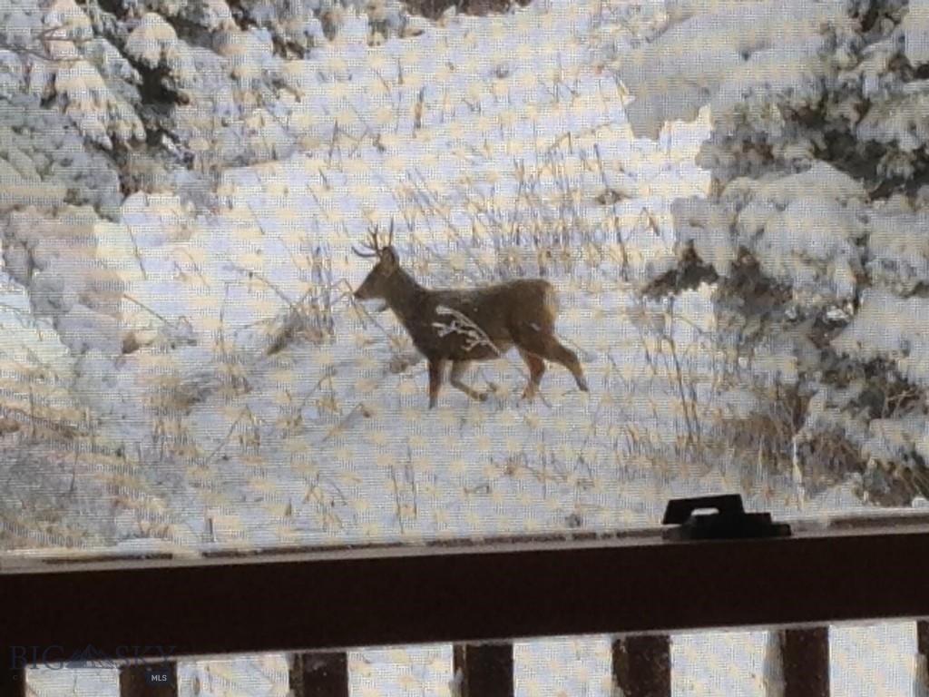 189 Quinn Creek Road