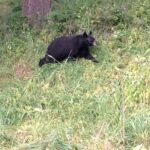 Bozeman MT 59715 - 13