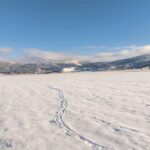 1903 Mount Ellis Lane