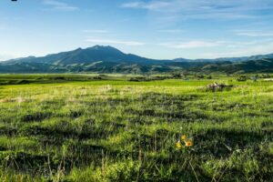 1903 Mount Ellis Lane, Bozeman MT 59715
