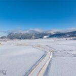 1903 Mount Ellis Lane