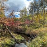 1918 Spring Creek Drive