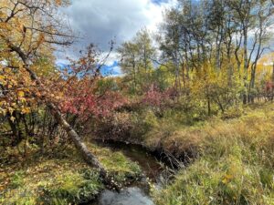 1918 Spring Creek Drive, Bozeman MT 59715