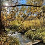 1918 Spring Creek Drive