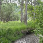 1918 & TBD Spring Creek Drive