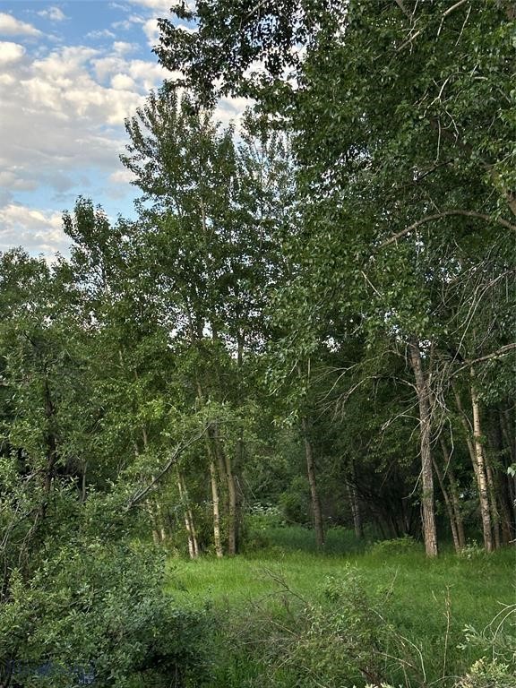 Bozeman MT 59715 - 25