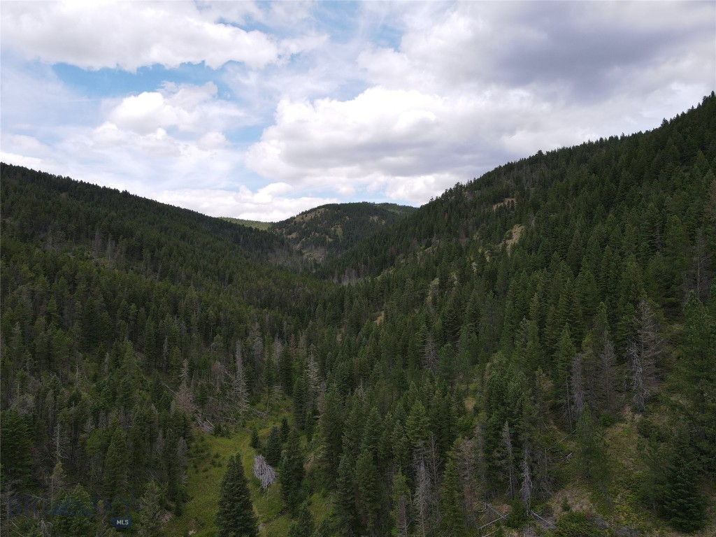 1956 Whiskey Gulch Trail