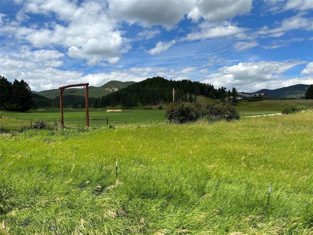 1956 Whiskey Gulch Trail