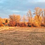 Bozeman MT 59718 - 7