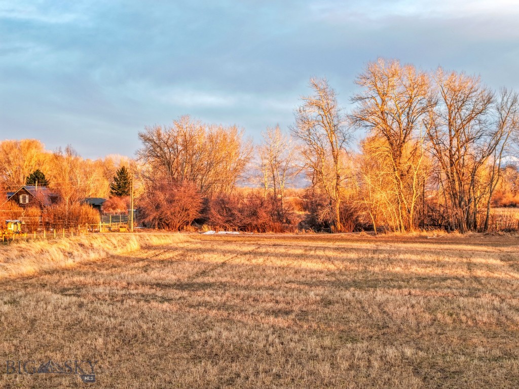 Bozeman MT 59718 - 7