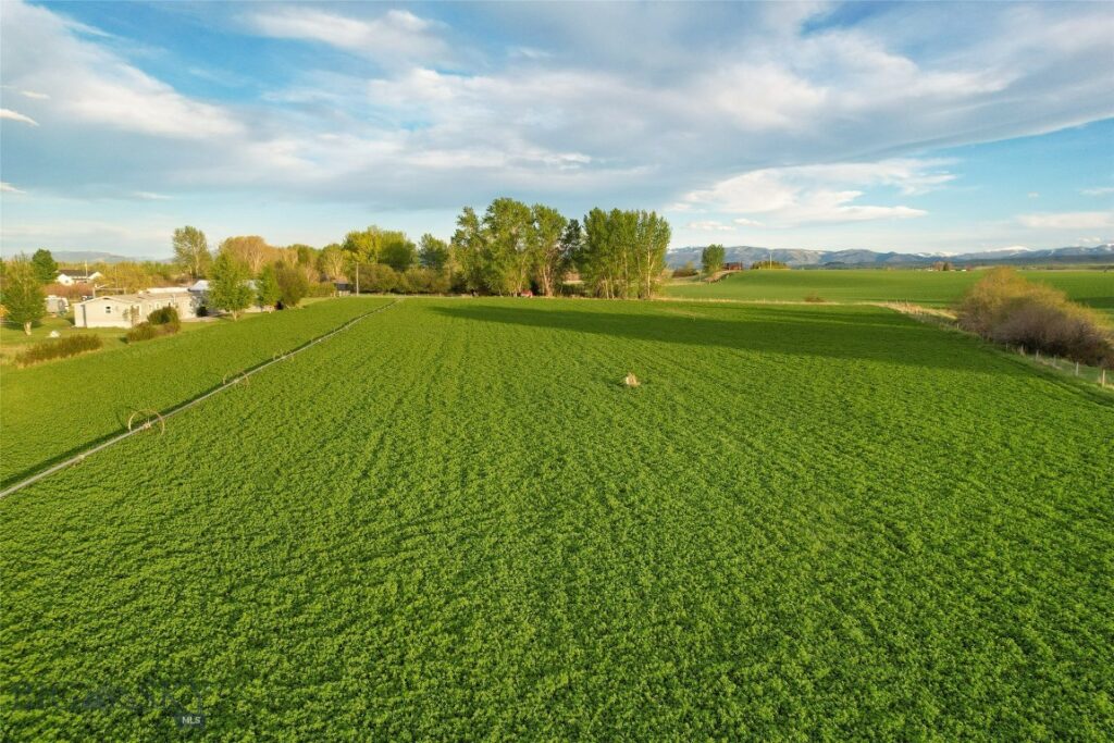 Bozeman MT 59718 - 11