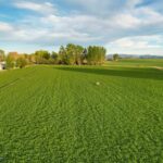 Bozeman MT 59718 - 11