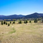 Bozeman MT 59718 - 5