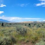 1A-20.09acres Sofindigo Trail