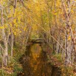 Bozeman MT 59718 - 25