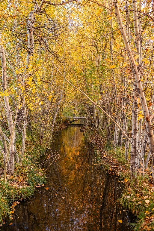 Bozeman MT 59718 - 25