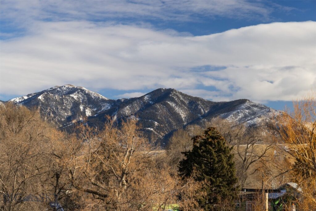 201 & 201 1/2 N Black Avenue