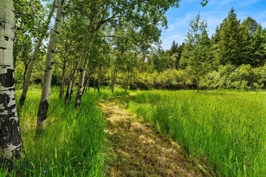 Bozeman MT 59718 - 20