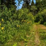 Bozeman MT 59718 - 25