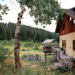 Bozeman MT 59715 - 20