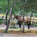 210 Upper Kelly Creek Road