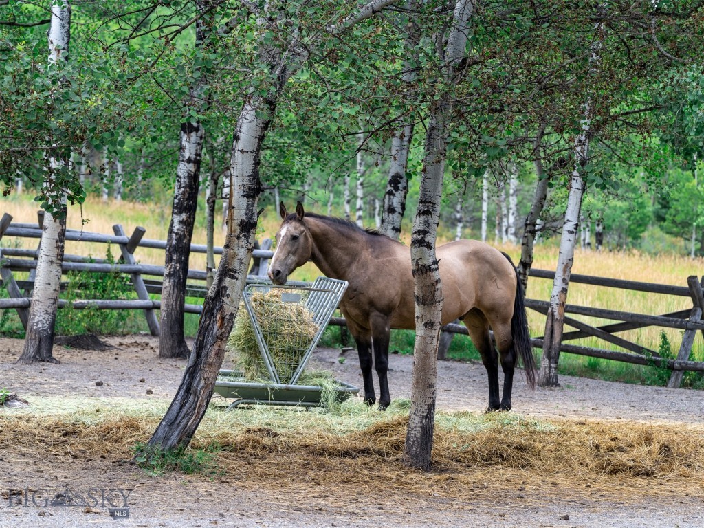 210 Upper Kelly Creek Road