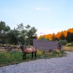 210 Upper Kelly Creek Road