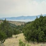 219+ ac Mill Gulch Road