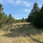 219+ ac Mill Gulch Road