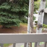 Bozeman MT 59718 - 14