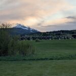 Big Sky MT 59716 - 7