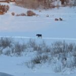 Big Sky MT 59716 - 17