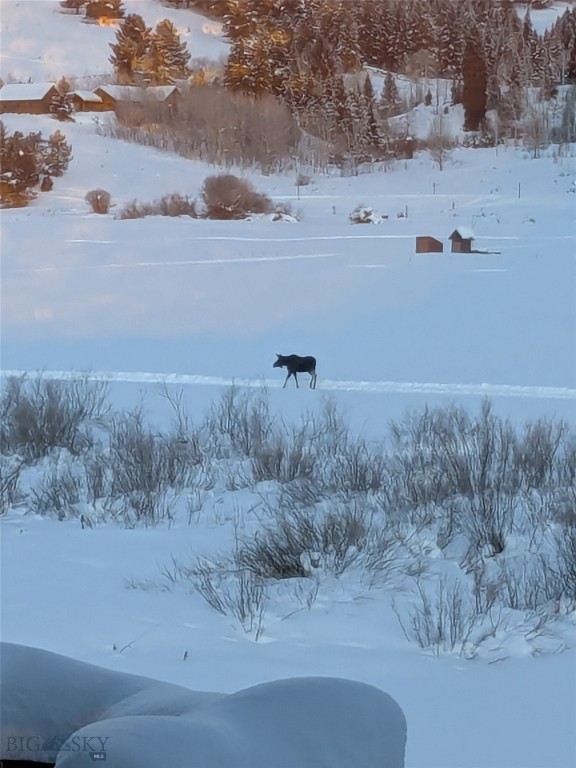 Big Sky MT 59716 - 17