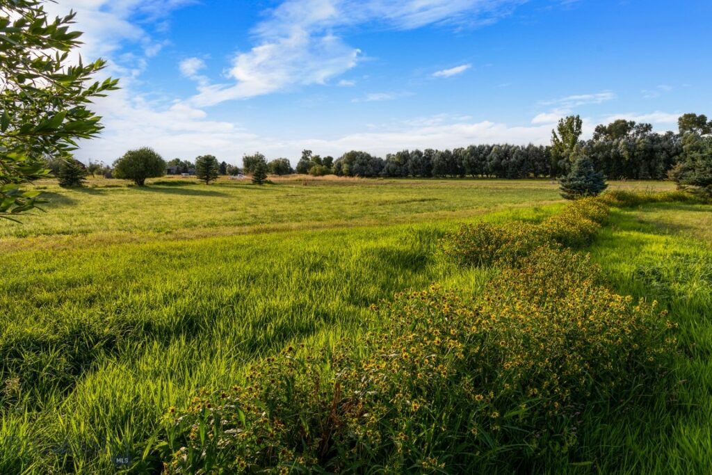 Bozeman MT 59718 - 7